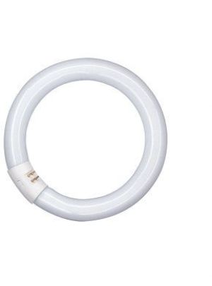 Osram Świetlówka kołowa L 22W/840 G10Q (4008321581082) 1