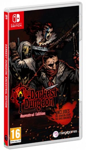 Darkest Dungeon Ancestral Edition PL Nintendo Switch 1