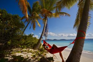 Eno Hamak turystyczny SingleNest Rasta (SH014) 3