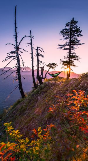 Eno Hamak turystyczny SingleNest Rasta (SH014) 9