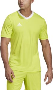 Adidas Koszulka adidas ENTRADA 22 JSY HC5078 HC5077 zielony M 5