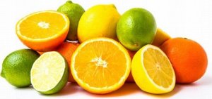 Sokowirówka Princess Princess Champion Juicer Pro 201863 14