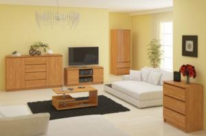 Fabryka Mebli Akord SZAFKA RTV 120 cm 2D 1P OLCHA 4