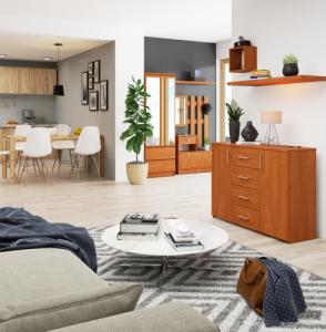 Fabryka Mebli Akord KOMODA K 45 110 cm OLCHA 4