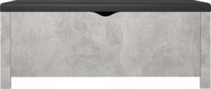 vidaXL Skrzynia z poduszką, szarość betonu, 105x40x45 cm, płyta 5