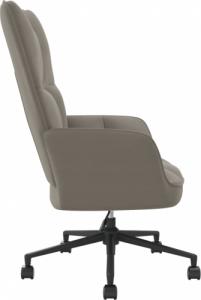 vidaXL Fotel, jasnoszary, obity aksamitem 4