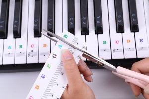 Mozos Mozos KSX1 statyw pod instrumenty klawiszowe + PK-STRS nalepki na klawisze nuty kolorowe 3