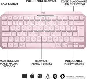 Klawiatura Logitech MX Keys Mini (920-010500) + Brio 100 (960-001585) 7