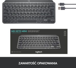 Klawiatura Logitech MX Keys Mini (920-010498) + Brio 100 (960-001585) 9