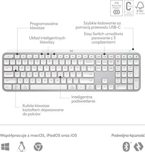 Klawiatura Logitech MX Keys S Grey US (920-011588) + Brio 100 (960-001585) 29