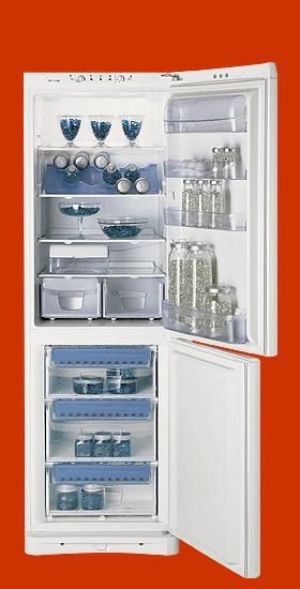 Lodówka Indesit BAAN 33 P 1