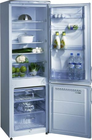 Lodówka Amica ACZ 3204 P 1