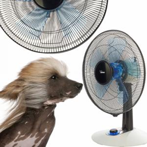 Wentylator Bimar VT 455 2