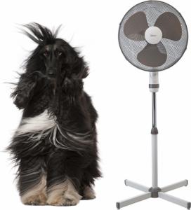 Wentylator Bimar VP 420 2