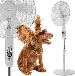 Wentylator Bimar VP 42 T 2