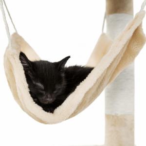 Tectake Drapak dla kota Marcel 141 cm - beżowy 5