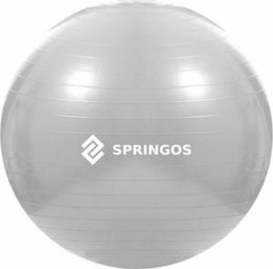 Springos Piłka gimnastyczna Springos Grey Bezpieczne zakupy z dostawą do domu 1