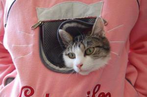 Smart Kitty Bluza CatySmile do noszenia kota i nie tylko (różowa) 2