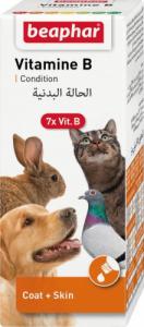 Beaphar BEAPHAR Vitamin B Complex - zestaw witamin B dla zwierząt domowych 50ml 1