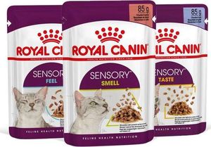 Royal Canin Karma Royal Canin Sensory Feel gravy 12x85g 3