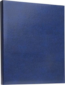 Focus Focus Exclusive Line Ringbinder Blue 1