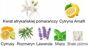 Guerlain GUERLAIN COLOGNE DU PARFUMEUR (M/W) EDC/S 100ML 4