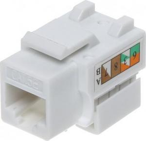 ZŁĄCZE KEYSTONE FX-RJ45-54*P100 1