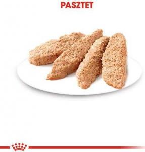 Royal Canin Royal Canin Kitten pasztet 12x85g 2