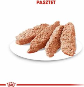 Royal Canin ROYAL CANIN Coat Care 12x85G 3