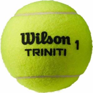 Wilson Piłki do tenisa ziemnego Wilson Trinity Club Tball WR8201501001 1szt Uniwersalny 1