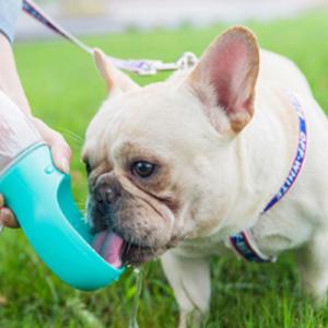 petfan Butelka na wodę PETFAN PF-550G uniw 10