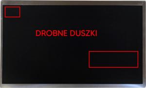 Samsung Matryca Samsung LTN101NT02 / 10,1'' WSVGA (1024 x 600) / 40 pin LVDS / Połysk / Klasa A- 4