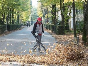 Cifarelli Dmuchawa do liści BL6S (BL6S) 4