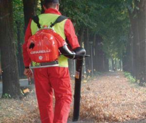 Cifarelli Dmuchawa do liści BL6S (BL6S) 8