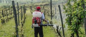 Cifarelli CIFARELLI M1200 OPRYSKIWACZ SPALINOWY PLECAKOWY OGRODOWY SADOWNICZY 17L PROFI PROFESJONALNY - OFICJALNY DYSTRYBUTOR - AUTORYZOWANY DEALER CIFARELLI 6