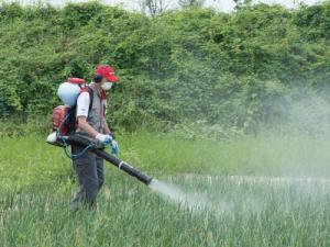 Cifarelli CIFARELLI M1200 OPRYSKIWACZ SPALINOWY PLECAKOWY OGRODOWY SADOWNICZY 17L PROFI PROFESJONALNY - OFICJALNY DYSTRYBUTOR - AUTORYZOWANY DEALER CIFARELLI 7