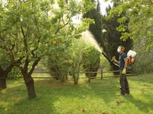 Oleo-Mac OLEO MAC MB 800 OPRYSKIWACZ SPALINOWY PLECAKOWY TURBINOWY 14L MOC 5 KM PREMIUM 365280020E1C OFICJALNY DYSTRYBUTOR - AUTORYZOWANY DEALER OLEO-MAC 8