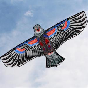 Aptel LATAWIEC w Kształcie Orła DUŻY 160 cm mix kolorów AG667B 5