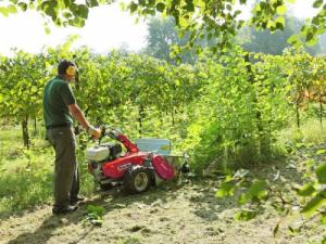 Kosiarka spalinowa Oleo-Mac WB 65 HR11 (68249009E5) 6