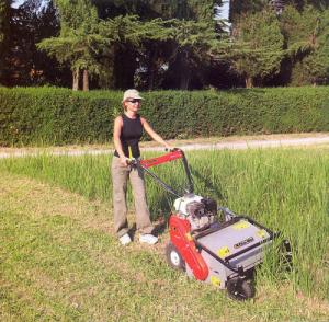 Kosiarka spalinowa Oleo-Mac WB 65 HR11 (68249009E5) 8