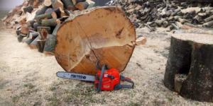 Piła łańcuchowa Oleo-Mac GS 630 Profi 5.2 KM 63.5 cm3 46 cm 3