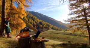 Piła łańcuchowa Oleo-Mac GS 371 2.6 KM 35.2 cm3 33 cm 11