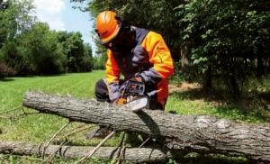 Piła łańcuchowa Oleo-Mac GS 371 2.6 KM 35.2 cm3 33 cm 5