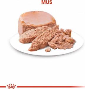 Royal Canin Royal Canin Babycat Instinctive mus 195g 2