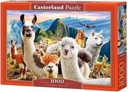 Castorland Puzzle 1000 Lamy CASTOR 1
