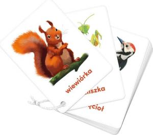 Bright Junior Media CzuCzu Karty Obrazkowe Na Sznurku Zwierzęta 3