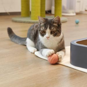 DoggyVillage Piłeczka dla psów bardzo małych i kotów Doggy Village MT7111P FRANTIC ORB MINI interaktywna, ruchoma, różowa 3