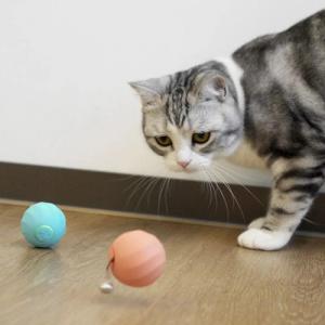 DoggyVillage Piłeczka dla psów bardzo małych i kotów Doggy Village MT7111P FRANTIC ORB MINI interaktywna, ruchoma, różowa 4