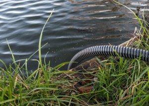 Bradas WĄŻ SSAWNO-TŁOCZNY 7M AQUATIC PLUS SATP2207/BK-SET 3