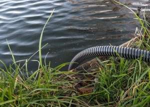 Bradas WĄŻ SSAWNO-TŁOCZNY 4M AQUATIC PLUS SATP2204/BK-SET 3